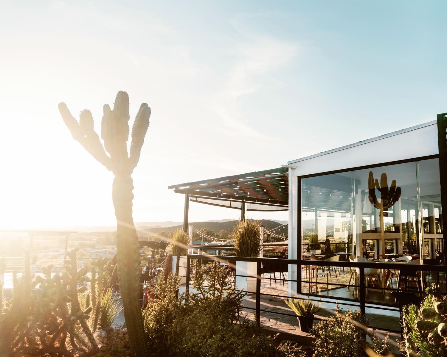 La Cima Del Valle Hotell Valle de Guadalupe Eksteriør bilde